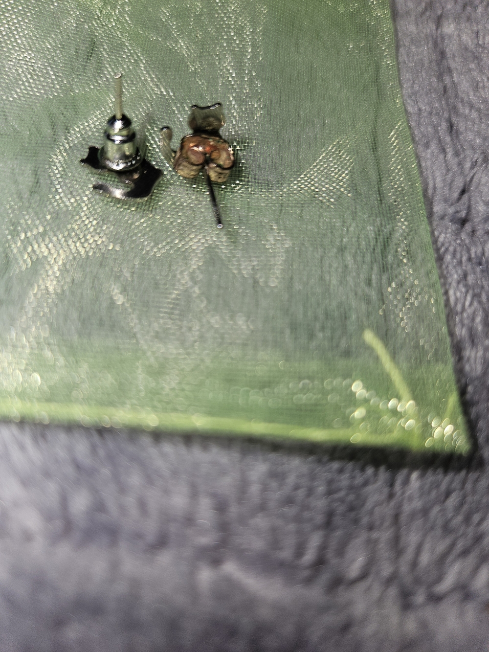 Cute Cat Stud Earrings - Silver Plated - Picture 2 of 2